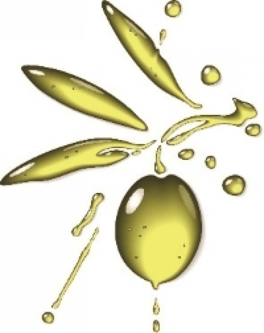 La nutraceutica dell'olio d'oliva vanto della Puglia olivicola