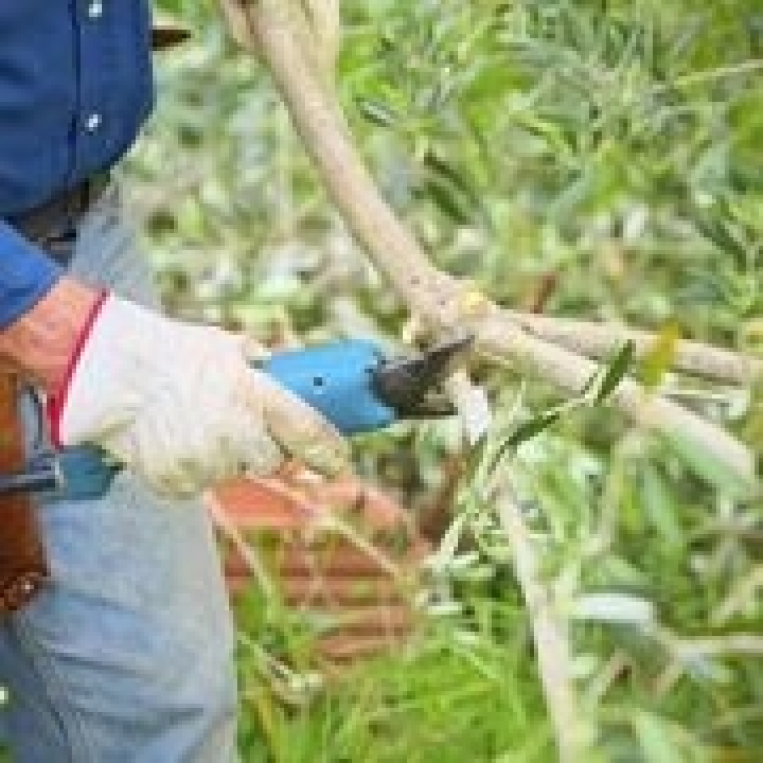 Incontro di saperi: il vaso policonico incontra la Calabria