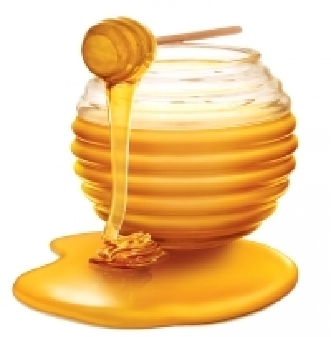 Il miele non va solo mangiato, va degustato