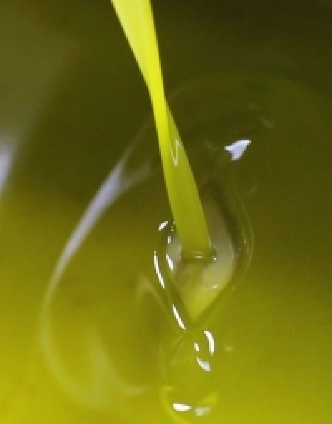 Oli di semi e olio extra vergine d'oliva, un confronto impossibile