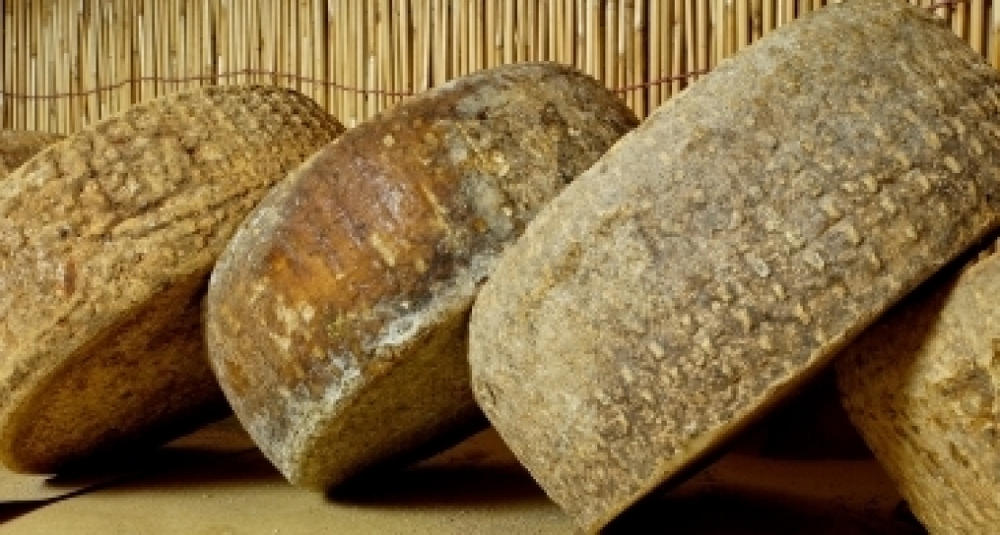 Tracce di formaggio da un lontano passato