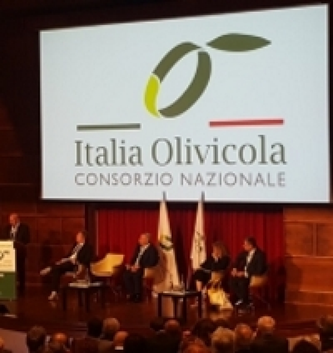 Italia Olivicola nasce per rivoluzionare il settore dell'olio d'oliva italiano