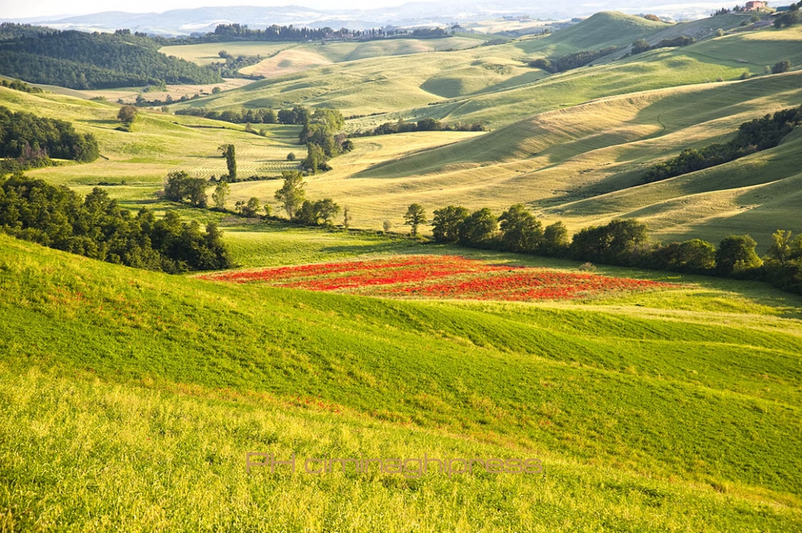 I futuri “manager del paesaggio agrario” della FAO studiano a Firenze: presentato il primo master internazionale del GIAHS