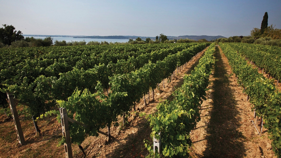 Il Lago di Garda tra le prime dieci mete enoturistiche del 2019