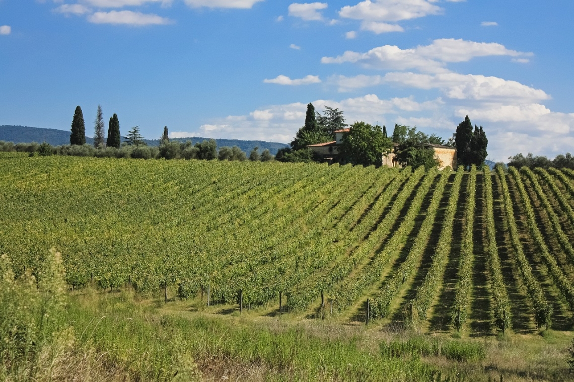 BuyWine e Anteprime di Toscana, al via le due grandi vetrine del vino toscano