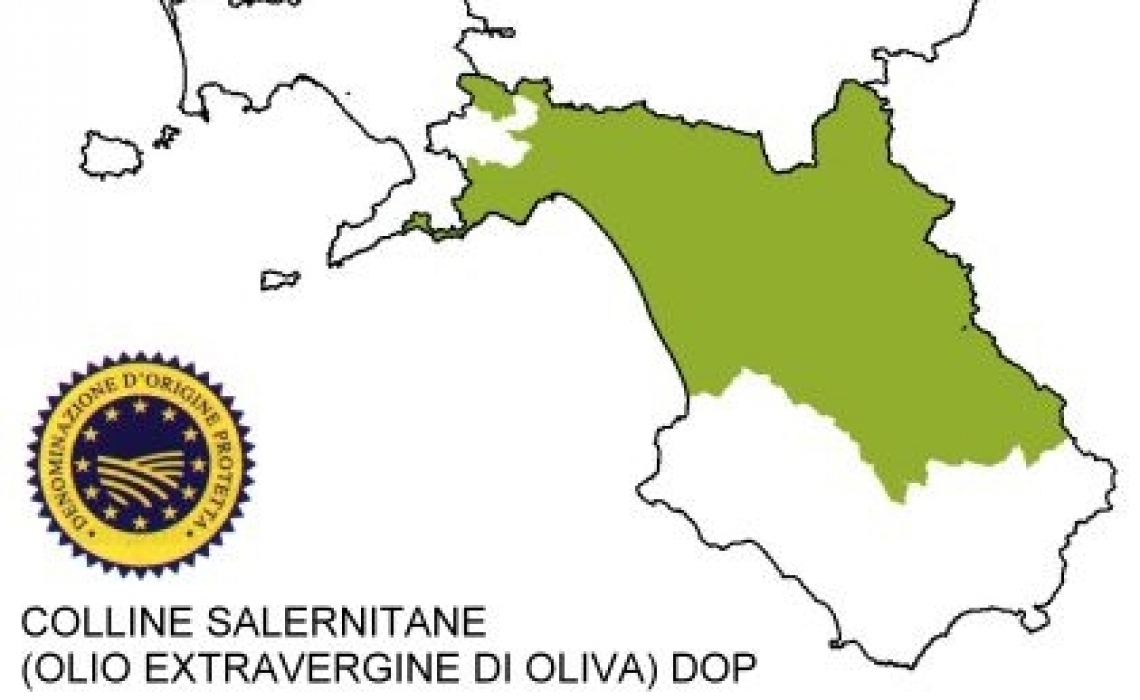 L'olio d'oliva Dop Colline Salernitane cerca il rilancio