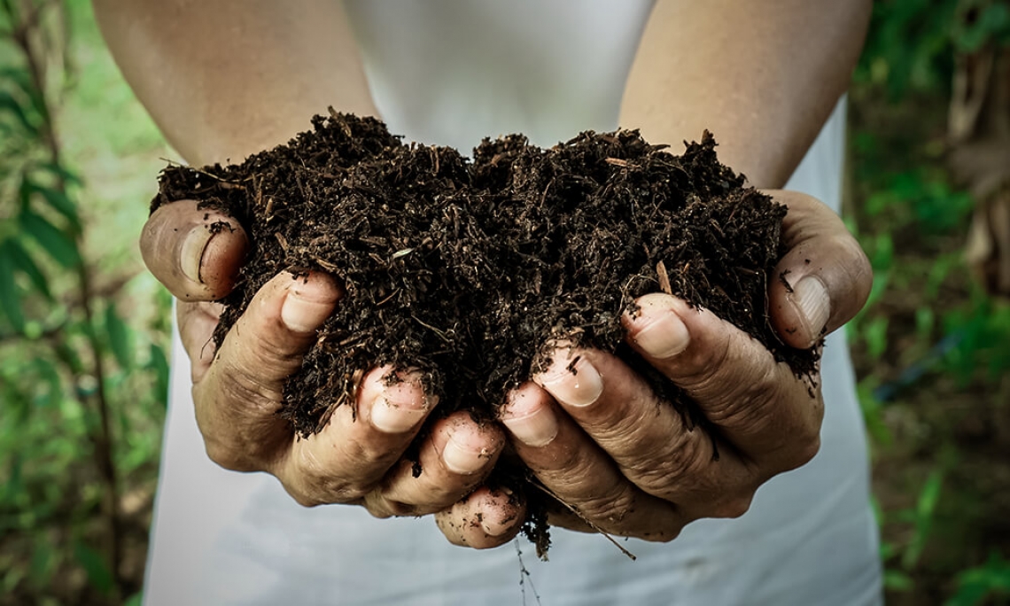 Come aumentare la fertilità dei suoli mediterranei, riducendo le emissioni di CO2