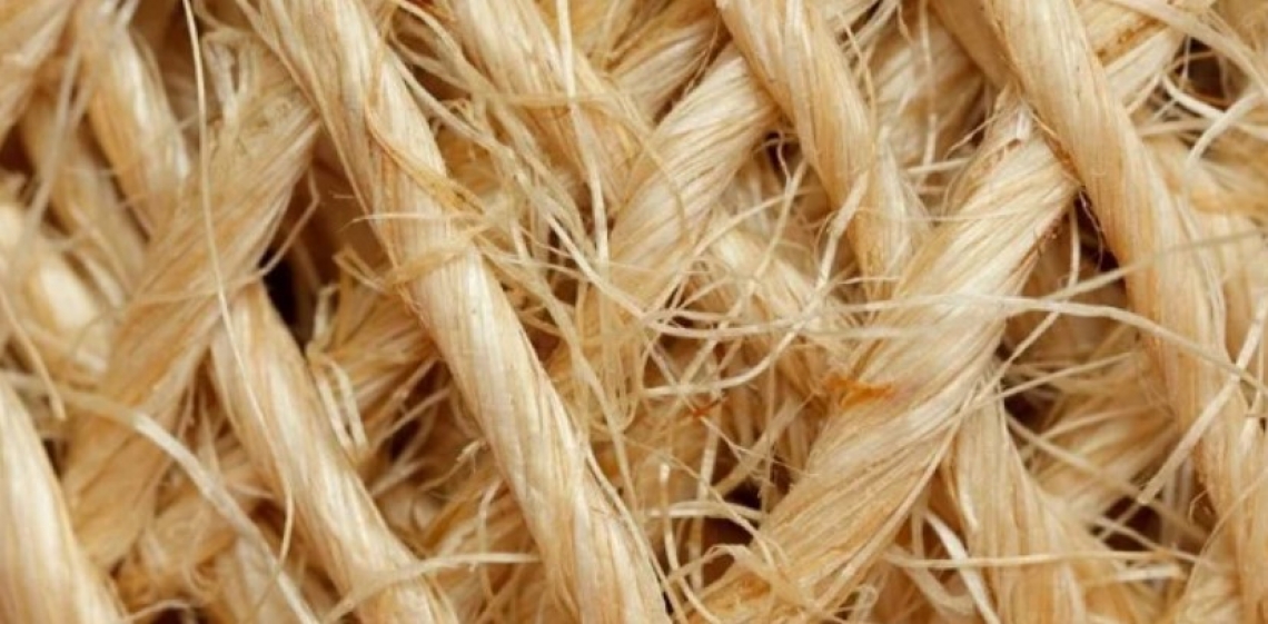 Una nuova economia basata sui tessuti naturali, grazie a fibre vegetali e animali