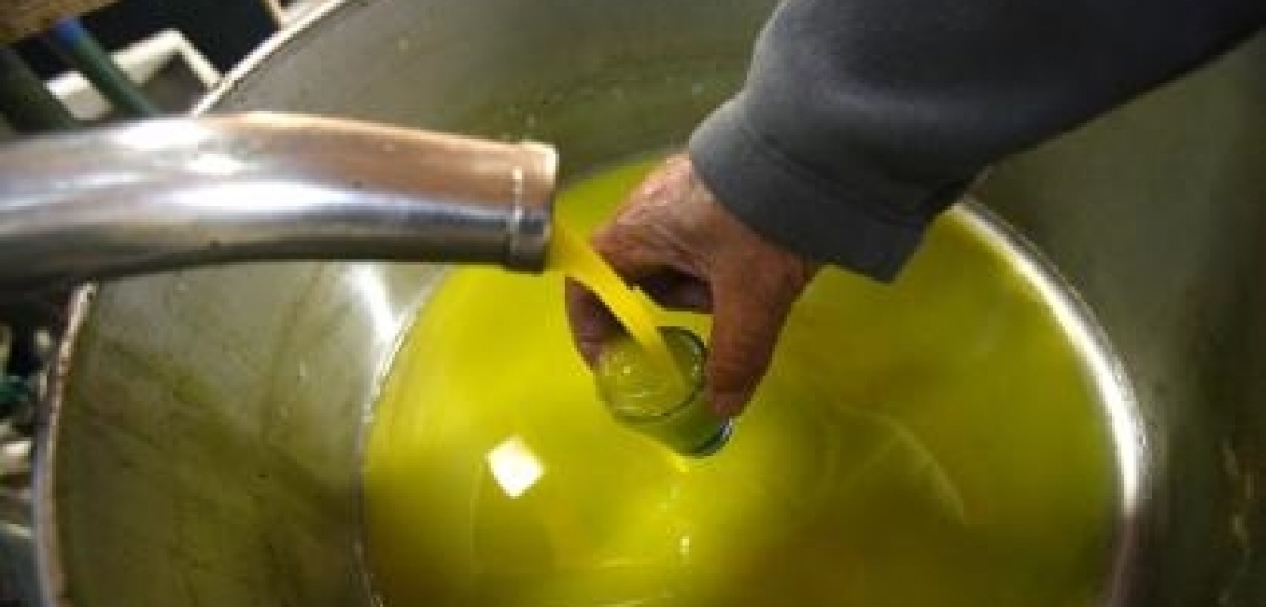 Le virtù nutrizionali e salutistiche dell'olio d'oliva