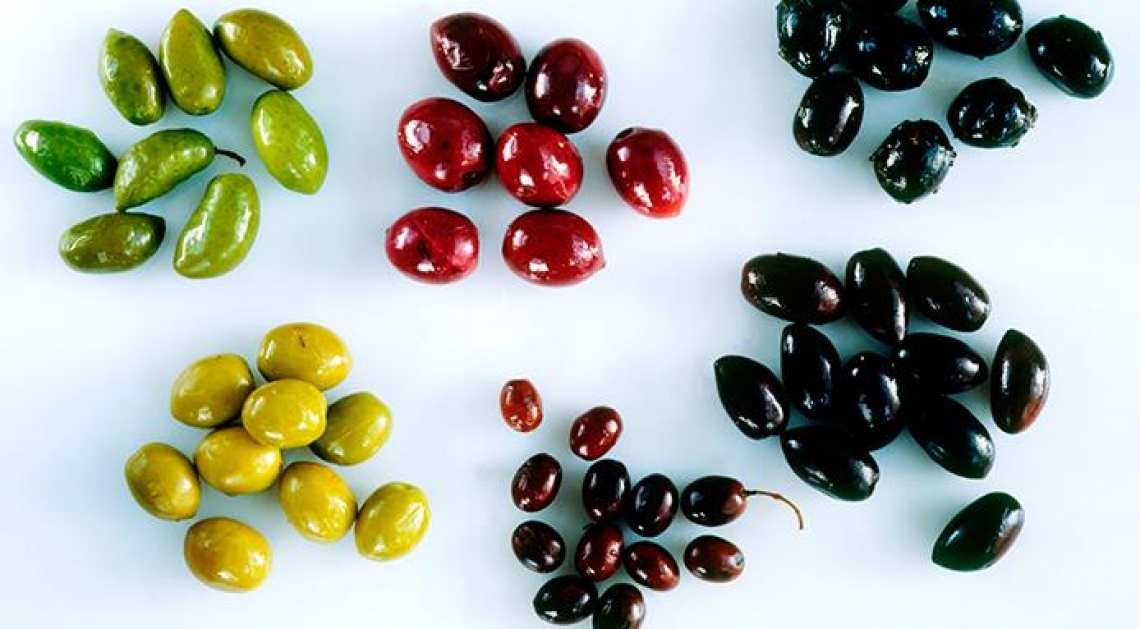 Cresce il consumo e il commercio di olive da tavola nel mondo