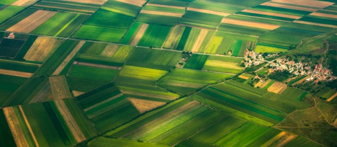 Il peso dell'agricoltura sull'intera economia è al 2,1%