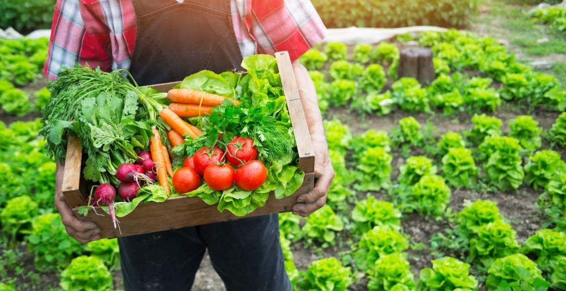 L'agricoltura biologica è il futuro per l'Italia: Centinaio dixit