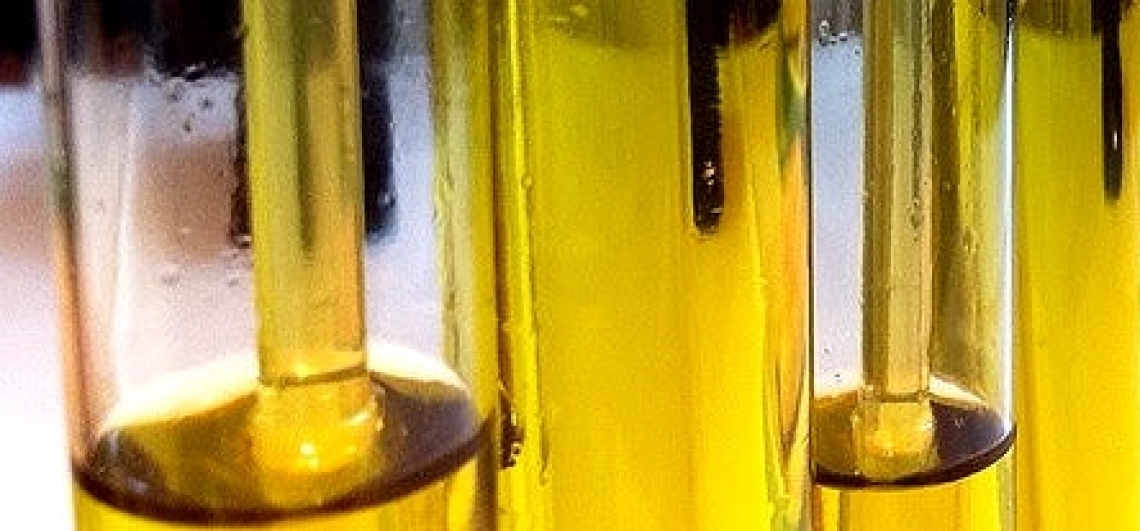 Microsistemi multifunzionali per il monitoraggio dei processi ossidativi di oli da olive