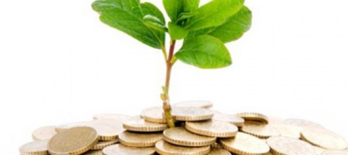 Finalmente torna a crescere il mercato assicurativo agricolo in Italia