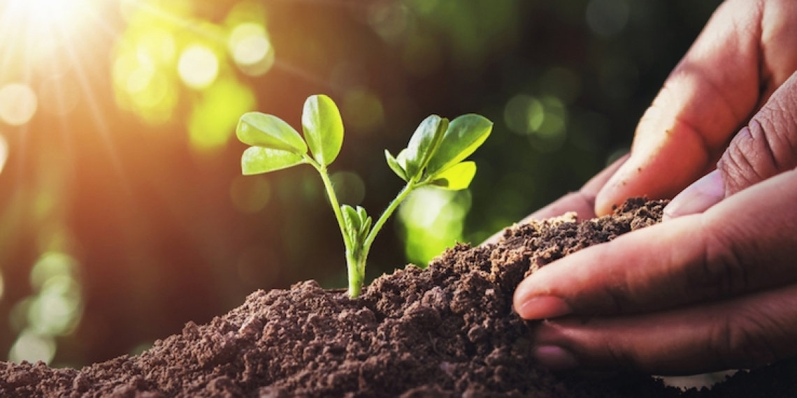 Sostenibilità agroalimentare e idrica:  il divario tra Nord e Sud è destinato ad aumentare