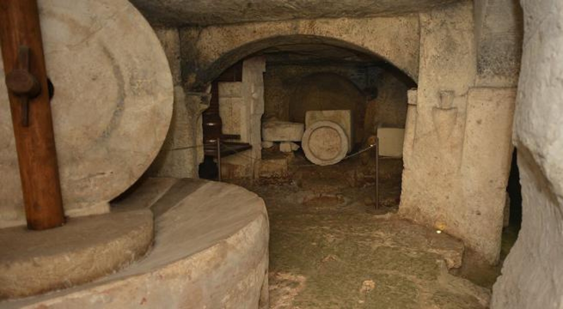 Un nuovo museo dell'olio extra vergine d'oliva a Torre Santa Susanna