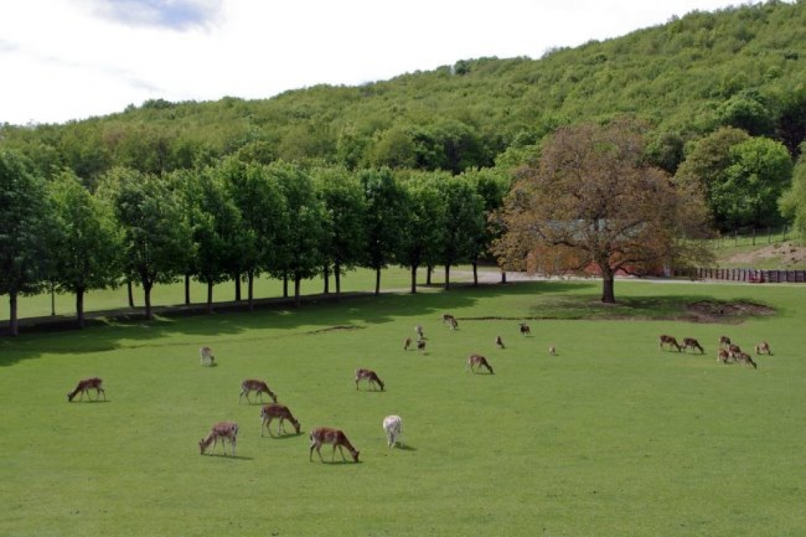 Tra food e natura, l’estate è fresca sull’Appennino parmense