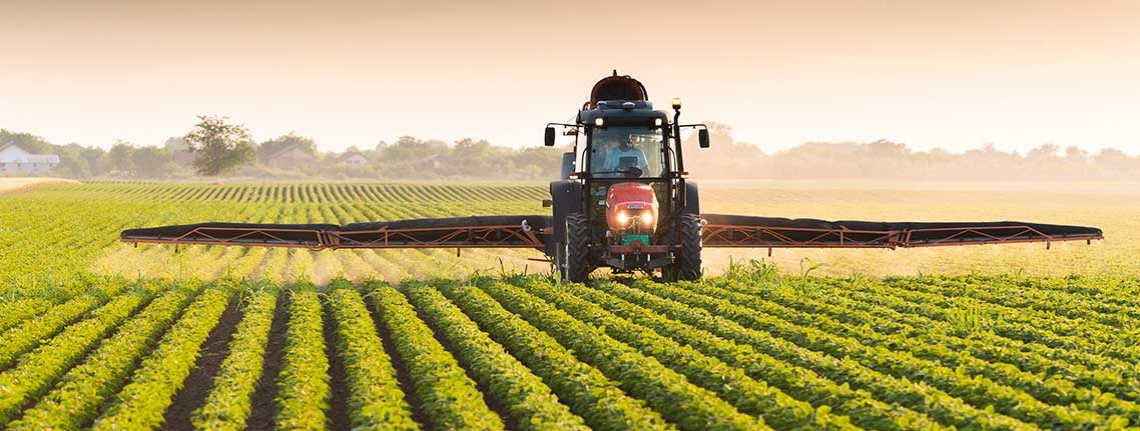 Segnali positivi per l'agricoltura nazionale, crescono occupazione e investimenti