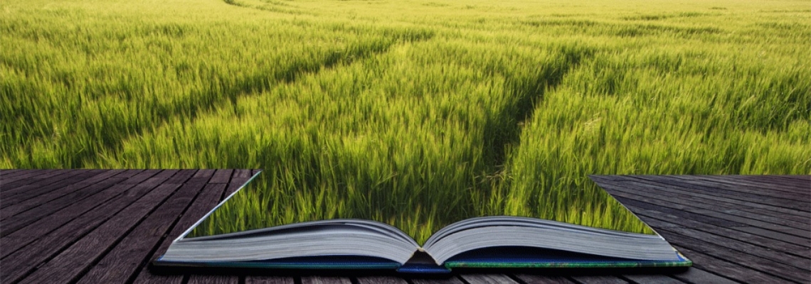 Se il frutto dell'agricoltura diventa una merce viene meno il senso della Costituzione