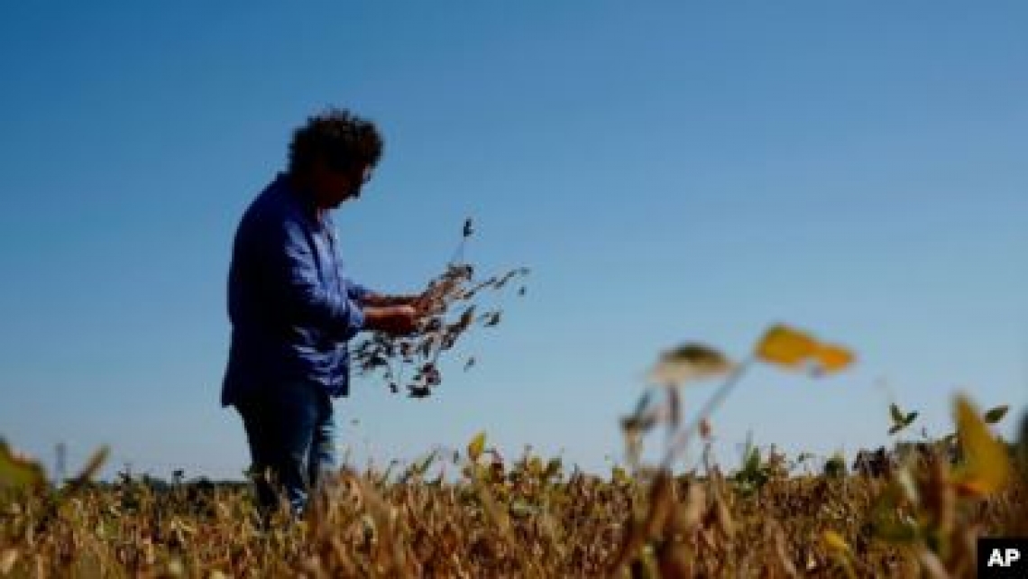 Misure di emergenza per l'agricoltura contro la siccità in Europa