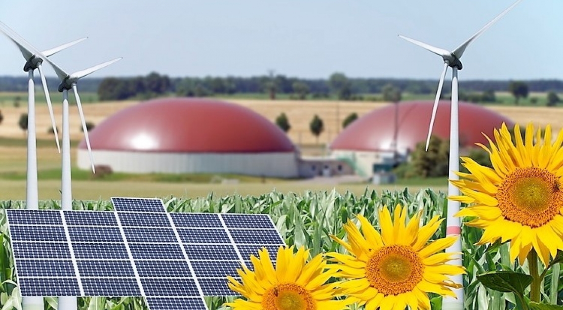 Incoraggiare la produzione e l'uso delle energie rinnovabili in agricoltura e nei territori rurali