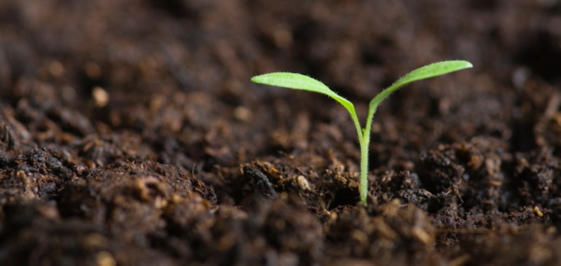 I cambiamenti climatici mettono in pericolo il valore dei terreni agricoli in Italia