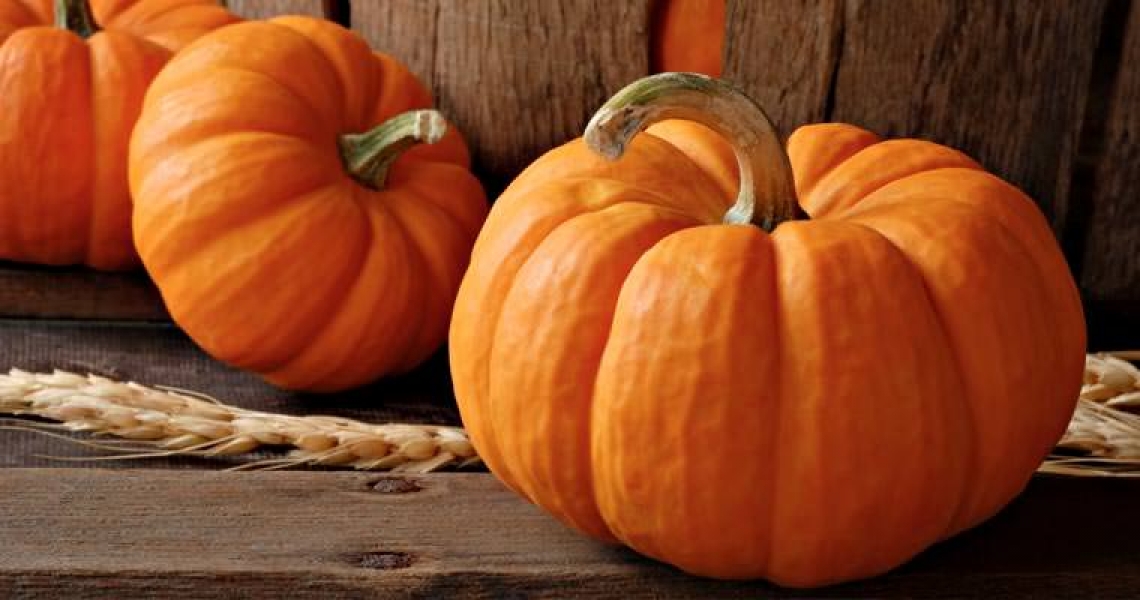 Le proprietà nutrizionali e antitumorali della zucca e un innovativo metodo di stagionatura