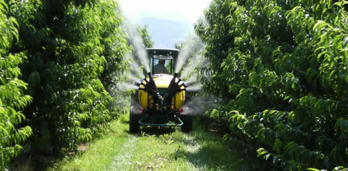 “Italian Input List”: una nuova piattaforma per il controllo dei mezzi tecnici utilizzabili in agricoltura biologica