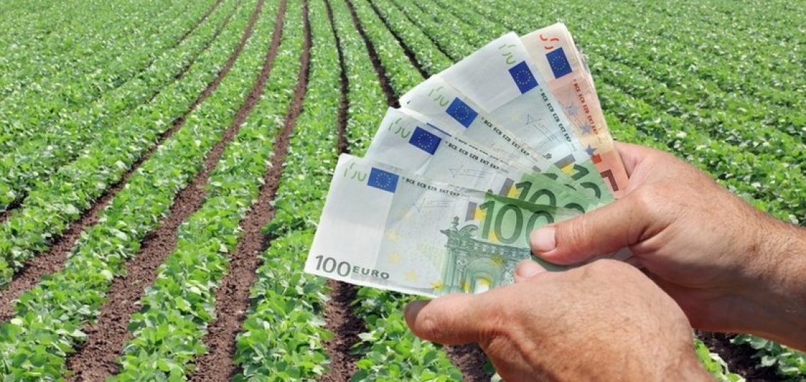 Tagliati 370 milioni di euro all'Italia dalla Politica agricola comunitaria