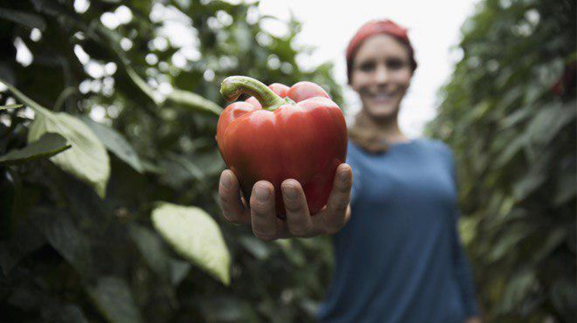 L'Unione europea stanzia 200 milioni di euro per promuovere il food europeo all'estero