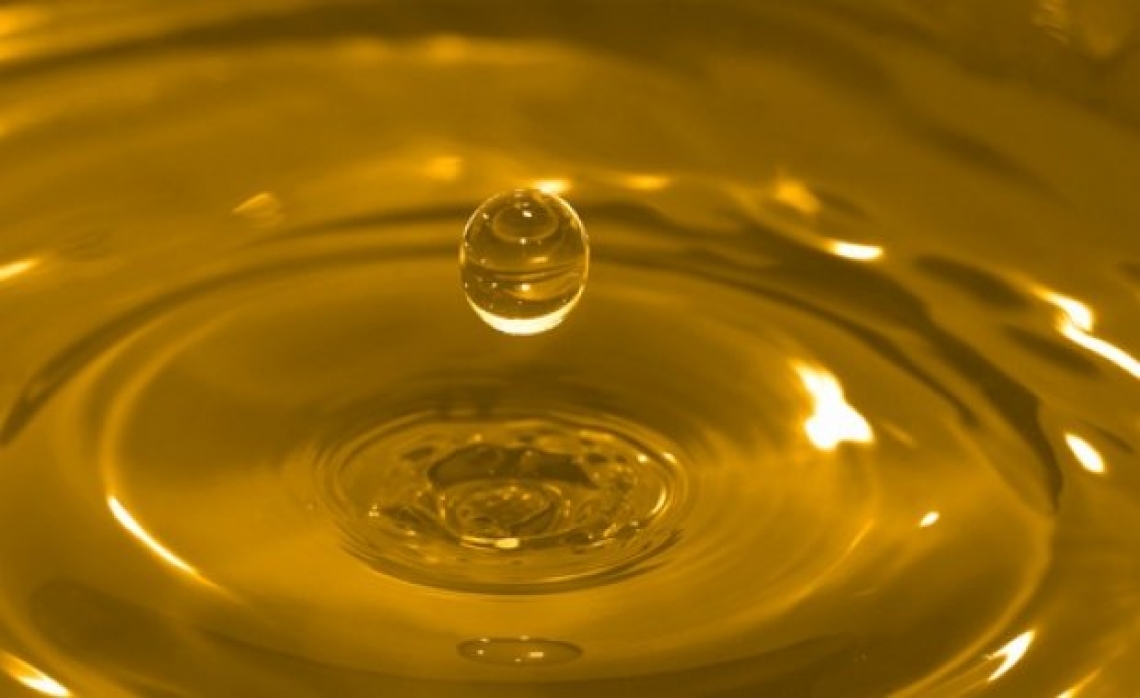 Troppi alti e bassi nella produzione mondiale di olio d'oliva: l'allarme del Coi