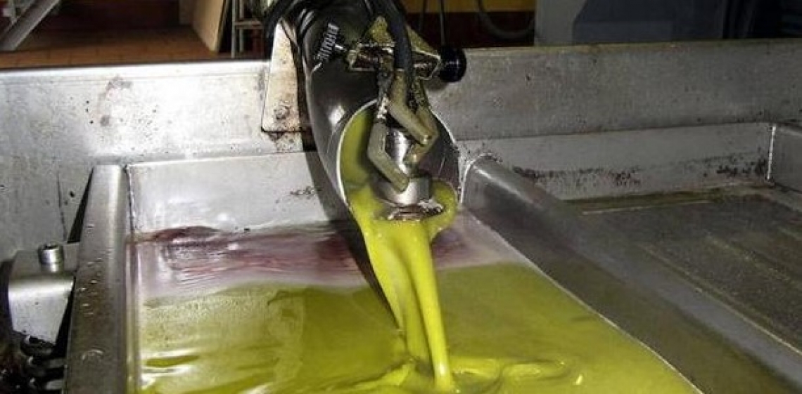 Gli ultrasuoni nel futuro dell'olio d'oliva secondo Carapelli