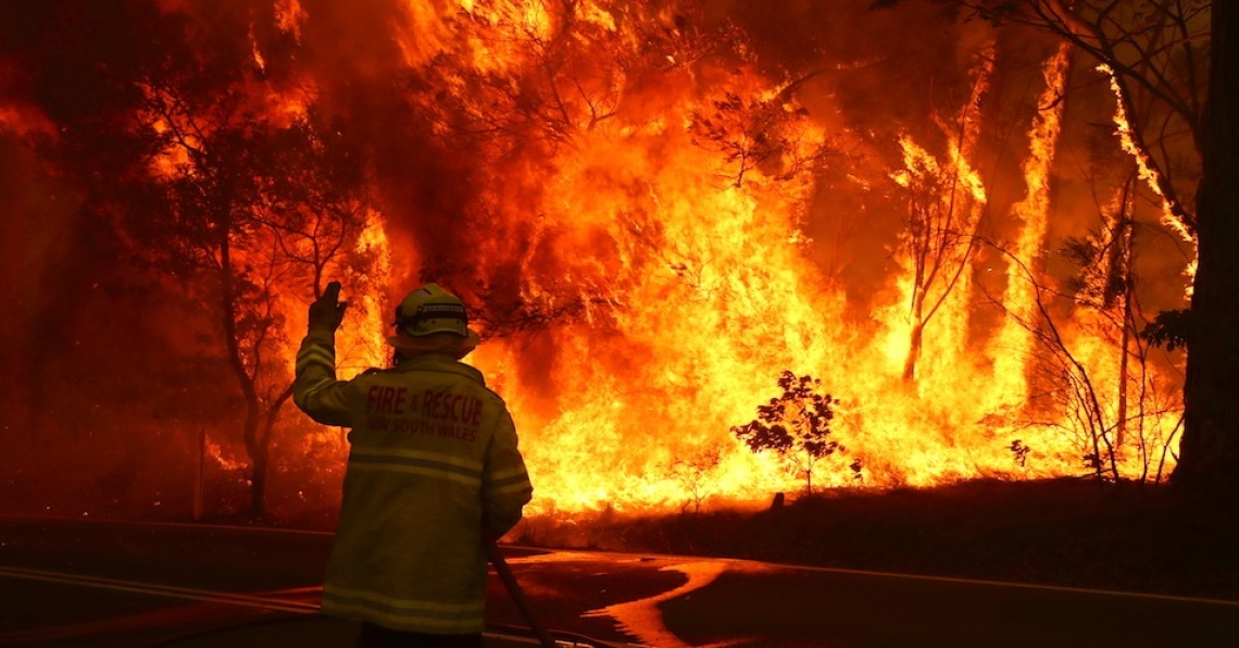 Gli incendi non devastano gli oliveti australiani