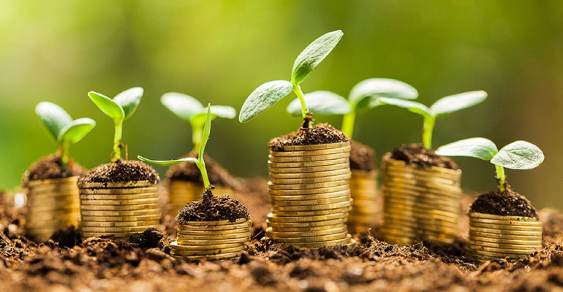 Si riduce il deficit della bilancia commerciale dell'Italia agroalimentare