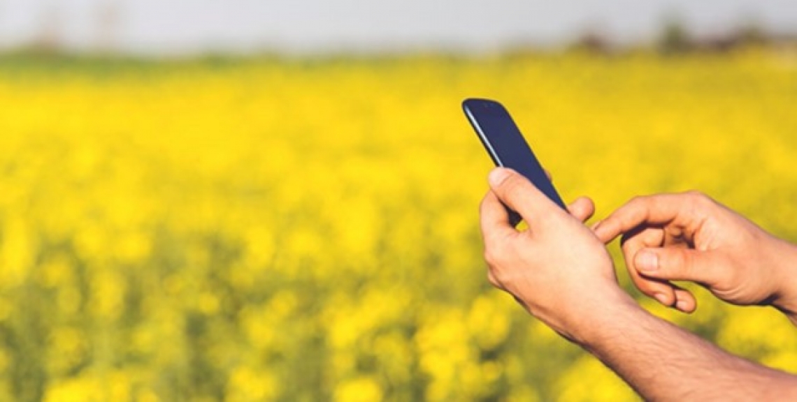 Il 2019 è stato l'annus horribilis dell'agricoltura italiana