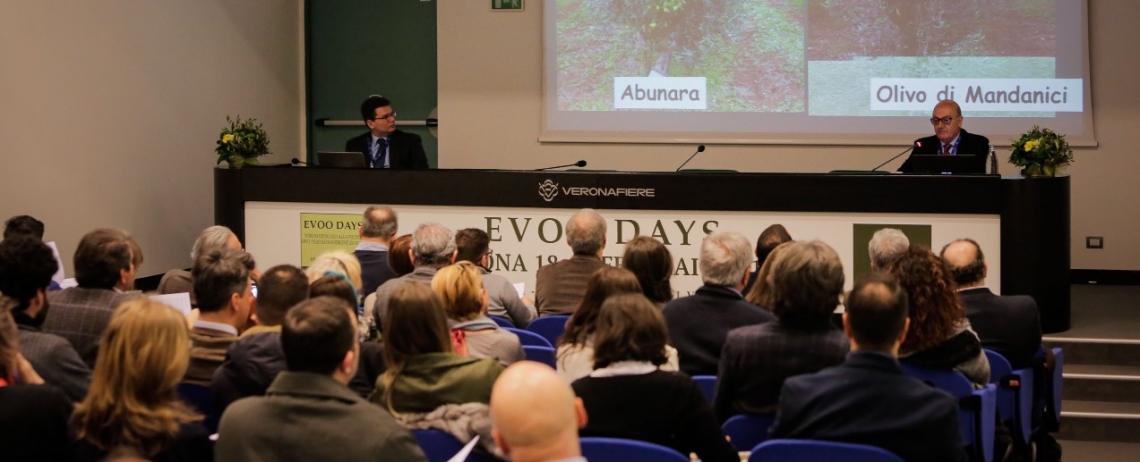 Aggiornamento e confronto per i professionisti e protagonisti della filiera olivicolo-olearia italiana