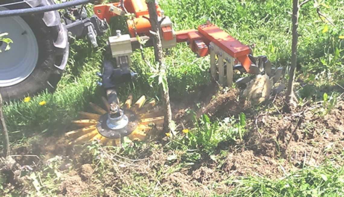 La gestione del cotico erboso e del terreno lungo il filare con mezzi meccanici