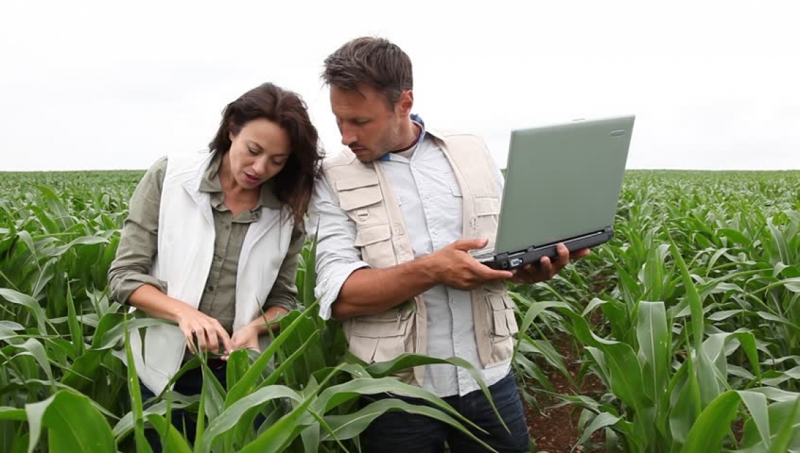 I veri redditi professionali di Periti Agrari e Agrotecnici, oltre le apparenze