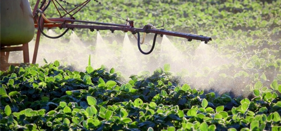 Residui di pesticidi negli alimenti europei: il 95,5% è regolare