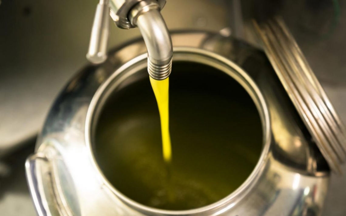 La Puglia ha spinto la produzione d'olio d'oliva nazionale a 365 mila tonnellate