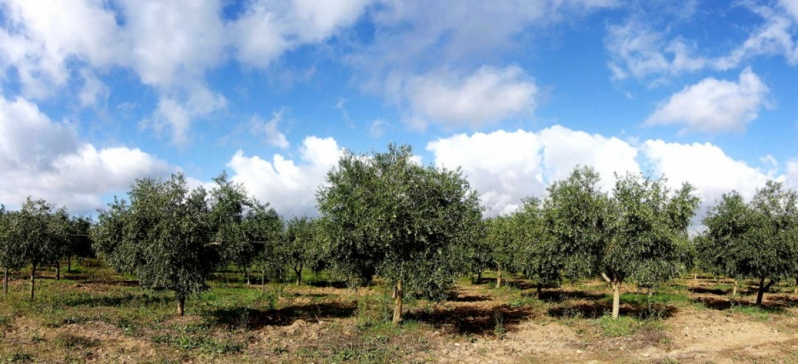 Far ripartire il Paese mettendo al centro la campagna