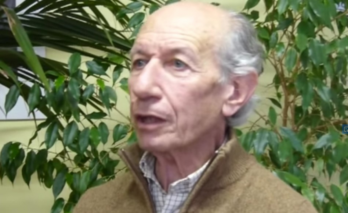 Giuseppe Fontanazza: la pianta dell'olivo &egrave; matrigna e capricciosa