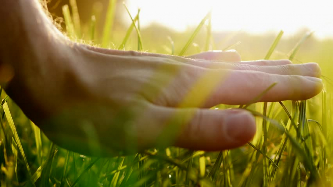 Agronomi e Forestali bocciano il Piano Colao