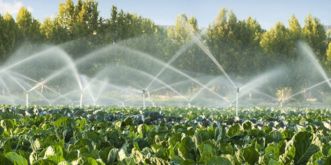 La Corte dei conti europea esamina la sostenibilità dell’uso dell’acqua in agricoltura