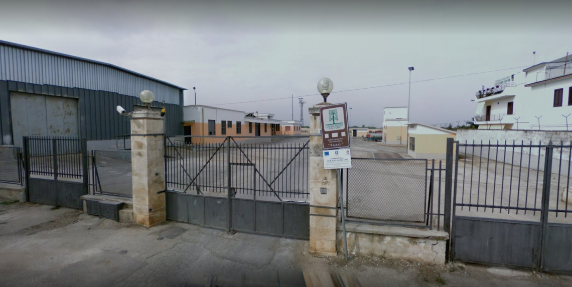 In liquidazione coatta amministrativa una delle coop olivicole più grandi d'Italia