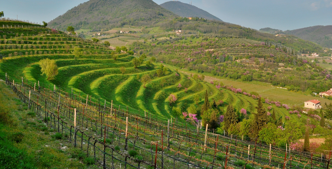 Calici di Stelle nella Città del Vino di Vo’ Euganeo