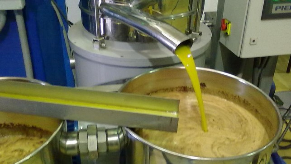 L'influenza di decanter e centrifugazione verticale sui fenoli secoiridoidi dell'olio d'oliva