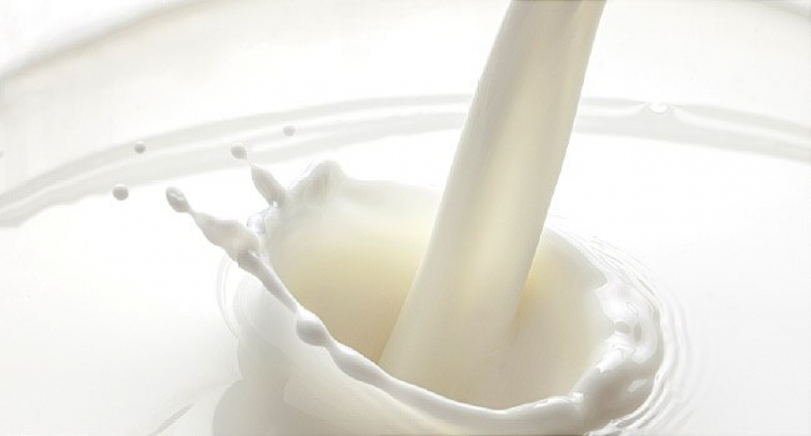 Il latte vaccino è un toccasana per il benessere dell'intestino