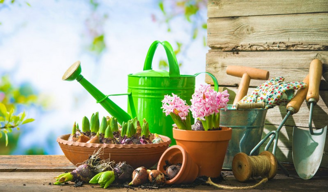 Il pollice verde degli italiani: cresce la voglia di orto e giardino