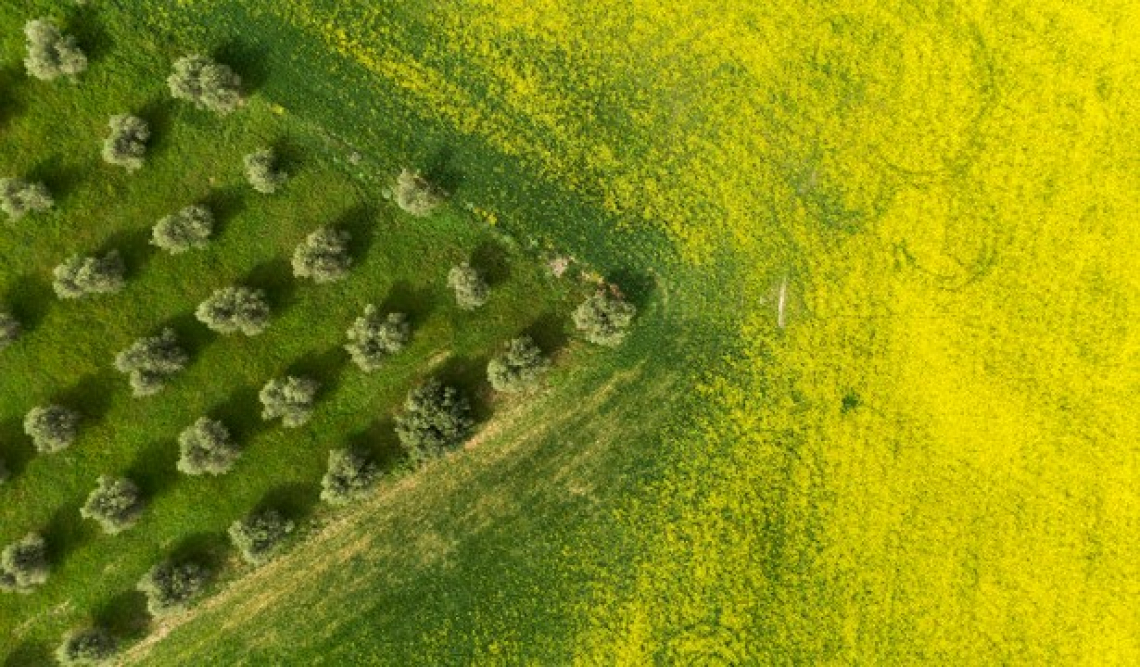 Servono ingenti fondi per attuare i progetti europei Biodiversity e From Farm to Fork